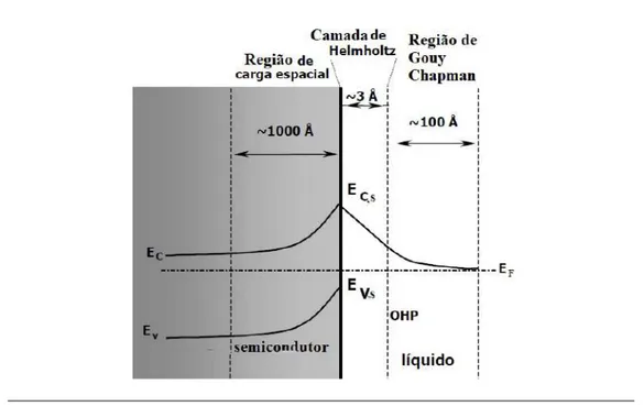 Figura 2.4: Esquema representando as diferentes zonas na interface semicondutor - -solução.