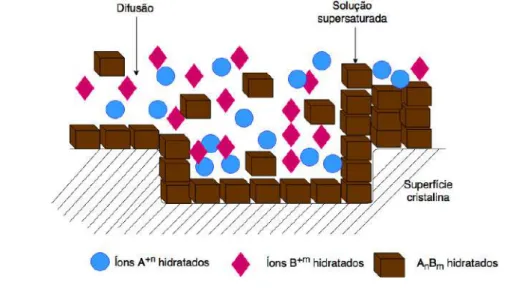 Figura 2.8: Esquema mostrando a camada adsorvida de soluto na superfície de um cristal em crescimento [2.41].