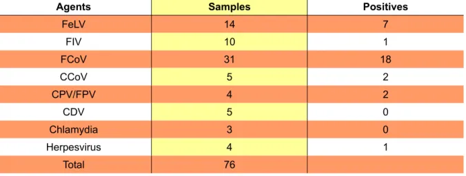 Table  2  - Number of samples analysed at the Virology and Molecular Biology Laboratory during the  period of 15 th  October 2008 and 15 th  April 2009