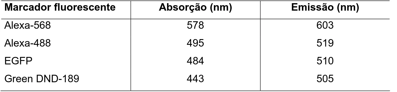 Tabela 2: Comprimento de onda de absorção e emissão dos marcadores  fluorescentes utilizados: 