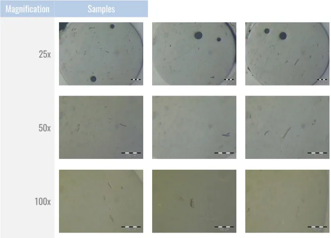 Table 9 - Microscopic analysis from 3Dom coffee filament. 
