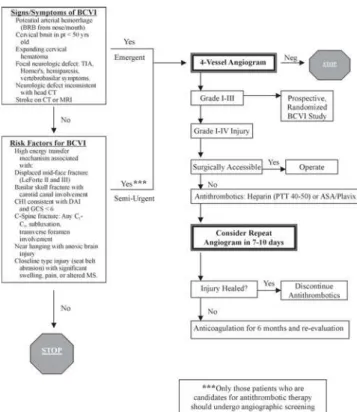 Figure 2 -  Denver screening and treatment algorithm for BCVI