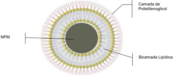Figura 05: Representação esquemática de um magnetolipossoma furtivo, com o núcleo (região escura)  constituído de uma nanopartícula magnética (NPM) encapsulada pela bicamada fosfolipídica