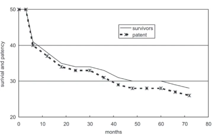 Figure 1 - Primary patency results