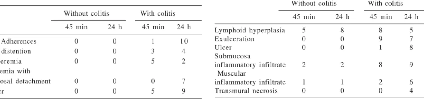 Table 3 - Classification of the microscopic alterations at sacrifice 45 minutes and 24 hours after inducing colitis