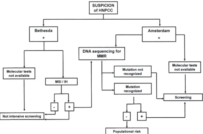 Figure 1 - Algorithm for Hereditary nonpolyposis colorectal cancer (HNPCC) diagnosis 20 .