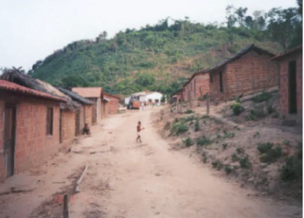 Figure 2 - Typical image of rural Buriticupu.