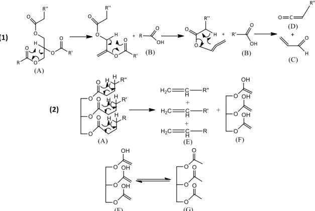 Figura 2.7 – Pirólise dos TAGs: craqueamento primário via: (1) mecanismo de eliminação de H beta do fragmento  glicerol; (2) mecanismo de eliminação de H gama na cadeia do AG