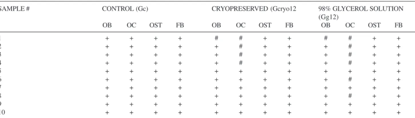 Table 3 - Absolute and relative frequencies of the scores in mature or lamellar bone