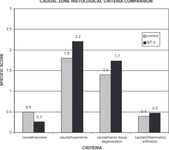 Figure 4 - Comparison of Specific Scores in the Injury Site between Control and NT-3 Groups