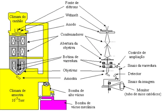 Figura 17 Diagrama de funcionamento de um microscópio eletrônico de varredura convencional