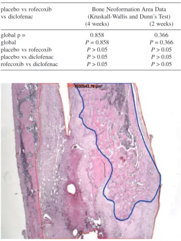 Table 1 - Intergroup comparison of bone callus area among the groups withat 4 and 2 weeks after osteotomy