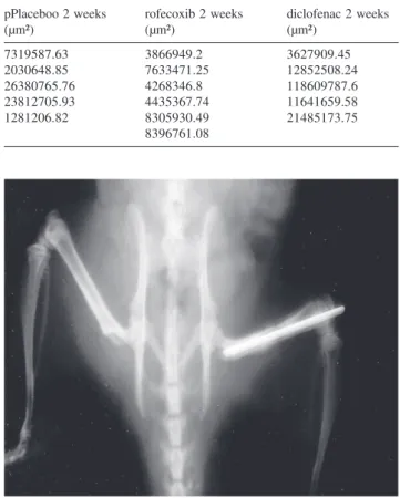 Table 8 - Total area (µm²) ofAbsolute Values of bone neoformation, by animal, area of the groups with at 2 weeks after osteotomy