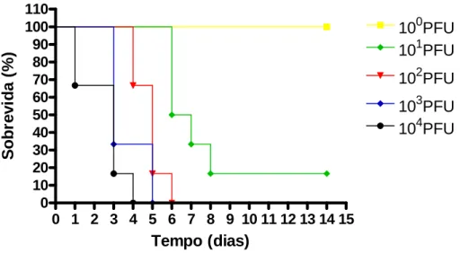 Gráfico 1 Curva de sobrevivência de camundongos C57BL/6 infectados por via intracraniana com os  inóculos de 10 0 , 10 1 , 10 2 , 10 3  e 10 4  PFU do vírus HSV-1 ou PBS