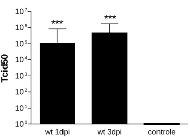 Gráfico  4 Camundongos  C57BL/6  (n=6  por  grupo)  foram  infectados  por  via  intracraniana  com  10 4 PFU  do  vírus  HSV-1  ou  PBS