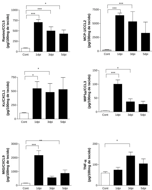 Gráfico  5 Níveis  da  citocina  TNF- α   e  das  quimiocinas  MCP-1/CCL2,  MIP-1 α /CCL3,  RANTES/CCL5, Kc/CXCL1 e MIG/CXCL9 no tecido cerebral de camundongos C57BL/6 (n= 8 por  grupo)  infectados  com  104  PFU  do  vírus  HSV-1  por  via  intracraniana