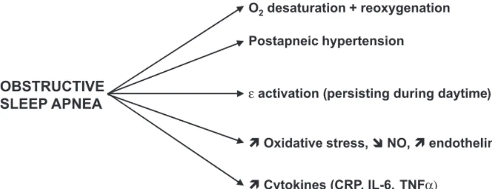 Figure 2 summarizes the main potential consequences of OSAs on metabolic and vascular parameters.