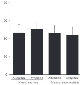 Figure 3 - Effect of type of maternal diet and maternal-fetal genetic compatibility on fetal brain weight (mean ± SD).