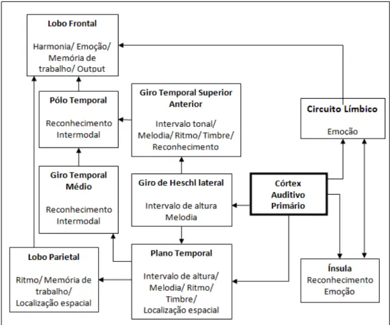 FIGURA  1.  Esquema  relacionando  as  áreas  e  mecanismos  envolvidos  na  percepção  e  compreensão musical (adaptado de Warren, 2008)
