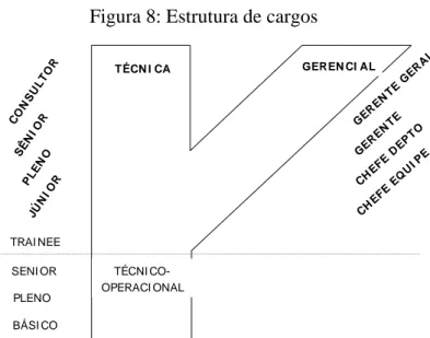 Figura 8: Estrutura de cargos 