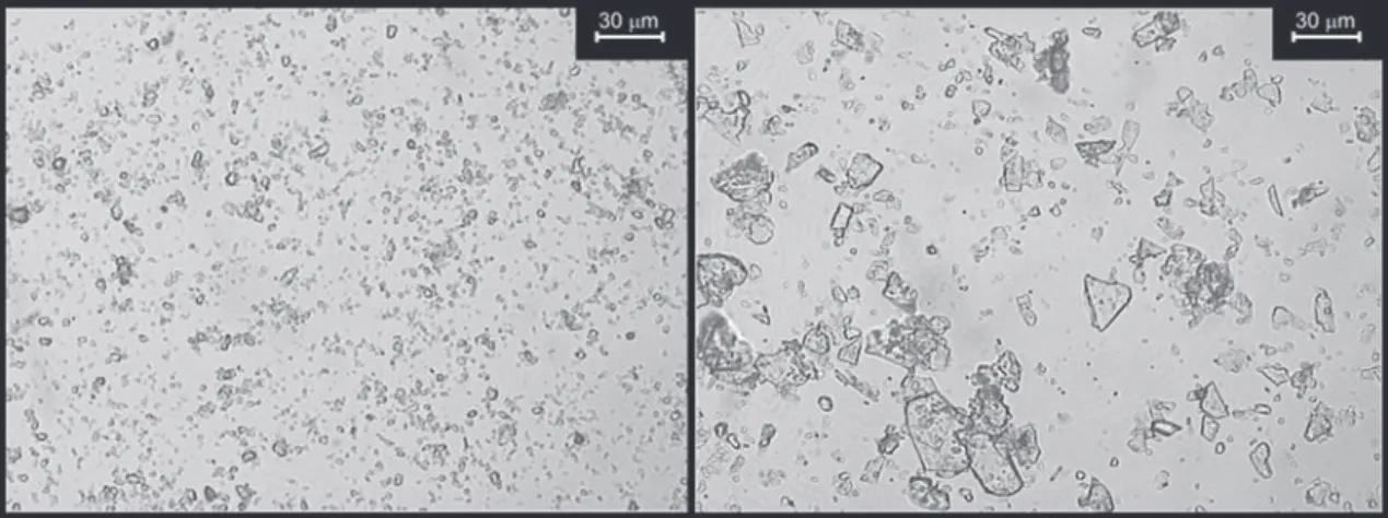 Figure 1 - Talc samples used. Left, talc containing small particles (&lt; 5 µm). Right, mixed talc (90% of particles &gt; 10 µm)