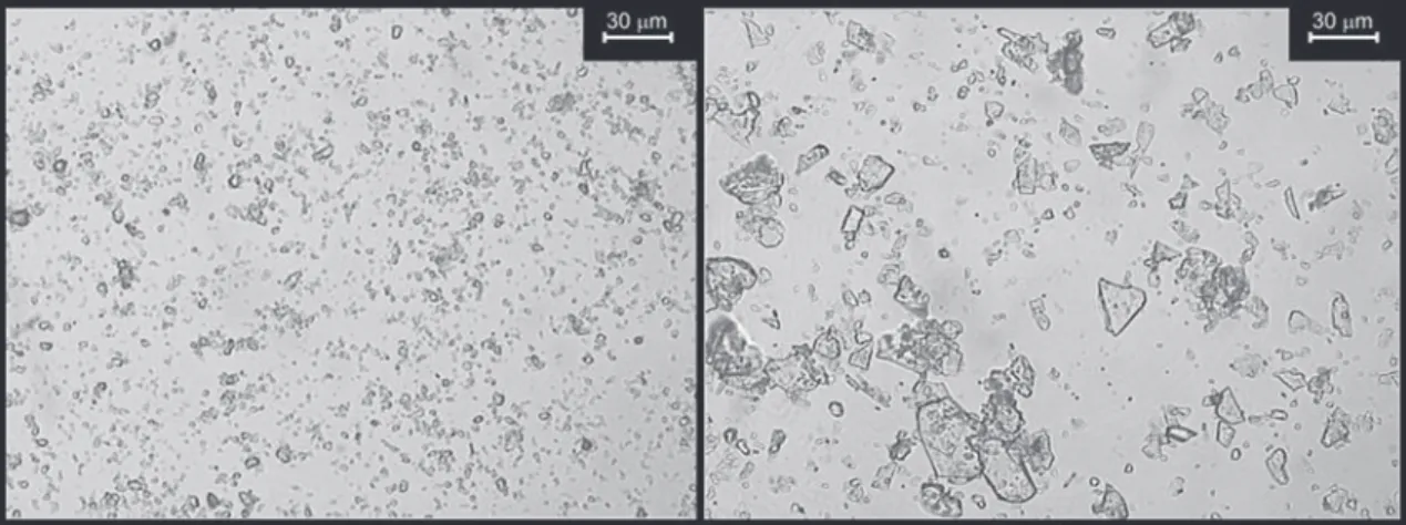 Figure 1 - Talc samples used. Left, talc containing small particles (< 5 µm). Right, mixed talc (90% of particles > 10 µm)