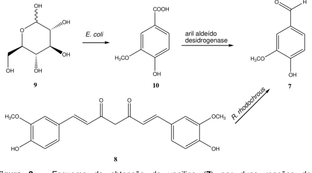 Figura  3  –  Esquema  da  obtenção  da  vanilina  (7)  por  duas  reações  de  biotransformação diferentes