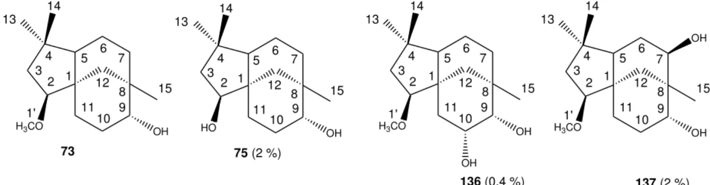 Figura  43  -  Estrutura  do  2  -metoxiclovan-9  -ol  (73)  e  dos  produtos clovan-2  -9  -diol  (75), 2  -metoxiclovan-9  ,10  -diol (136) e 2  -metoxiclovan-7  , 9  -diol (137), obtidos na  biotransformação de 73 com o fungo P
