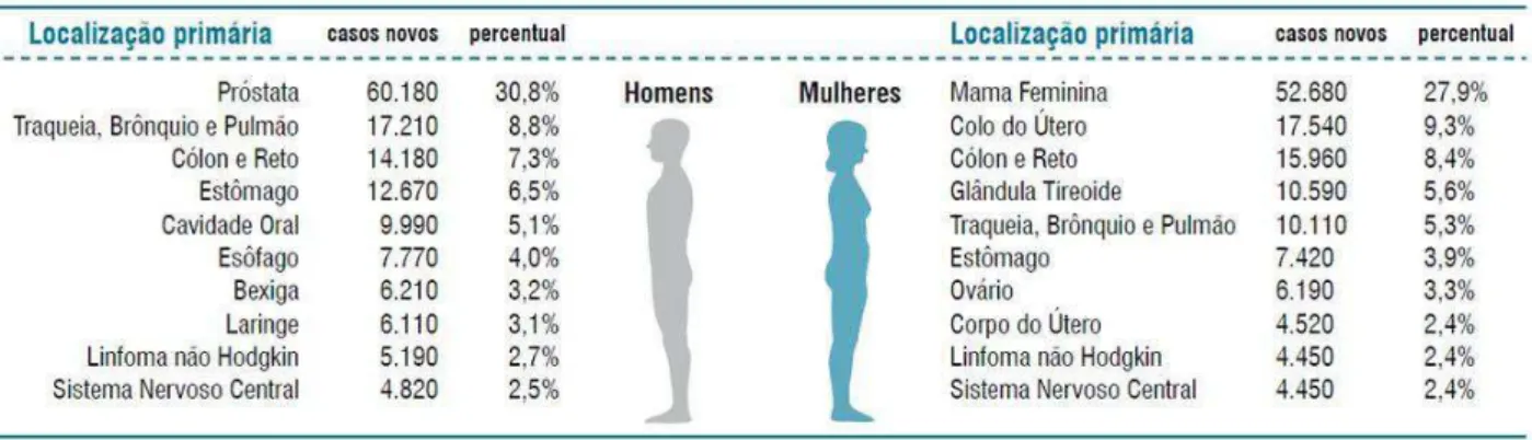 Figura  1  -  Distribuição  proporcional  dos  dez  tipos  de  câncer  mais  incidentes  estimados  para  2012 por sexo, exceto pele não melanoma