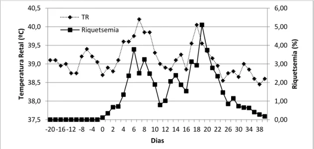 Figura 6. Dinâmica das medianas de temperatura retal e riquetsemia de bezerros inoculados com o isolado  UFMG3 de Anaplasma marginale 