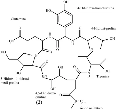 Figura 4. Criptocandina, substância antifúngica isolada de Cryptosporiopsis  quercina (Strobel et al., 1999)