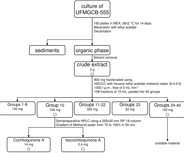 Figure  2.  Flowchart  illustrating  the  isolation  of  cochlioquinone  A  and 