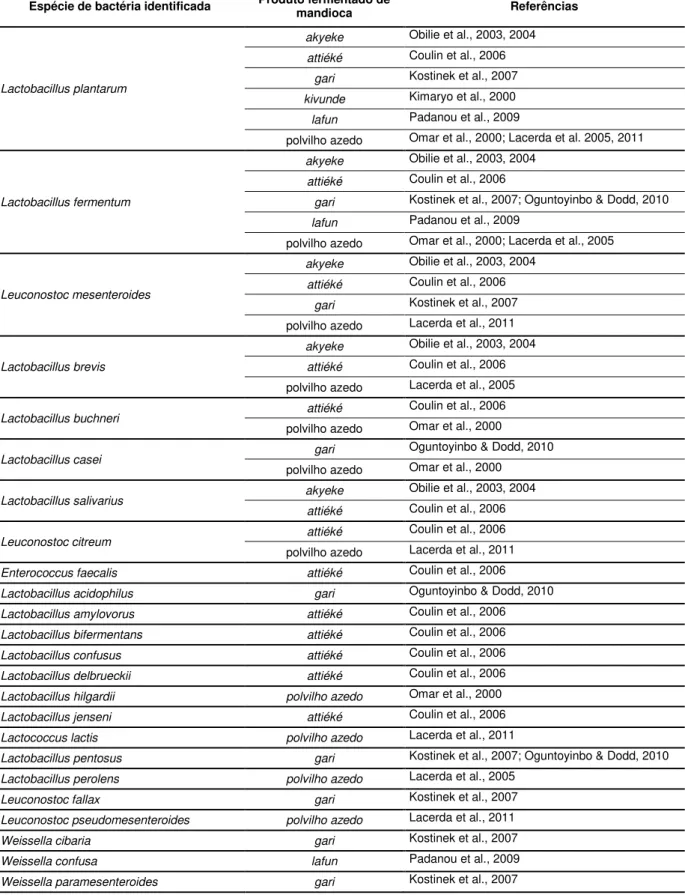 Tabela  1  Espécies  de  bactérias  do  ácido  láctico  (BAL)  identificadas  nos  diversos  produtos fermentados de mandioca  