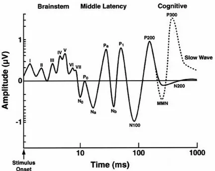Figure 2.1. Schematic illustration of auditory evoked potentials. Logarithmic scales are used 