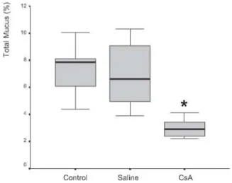 Figure 1 - In vitro transport rate from rats treated with saline or cyclosporin A for 30 days