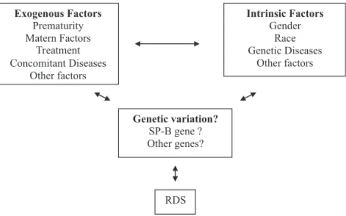 Figure 3 - Factors that contribute to the RDS phenotype. Modified from Haataja et al 6