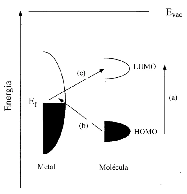 Figura 1.7:  Diagrama de energia de  uma molécula adsorvida  em uma superfície metálica