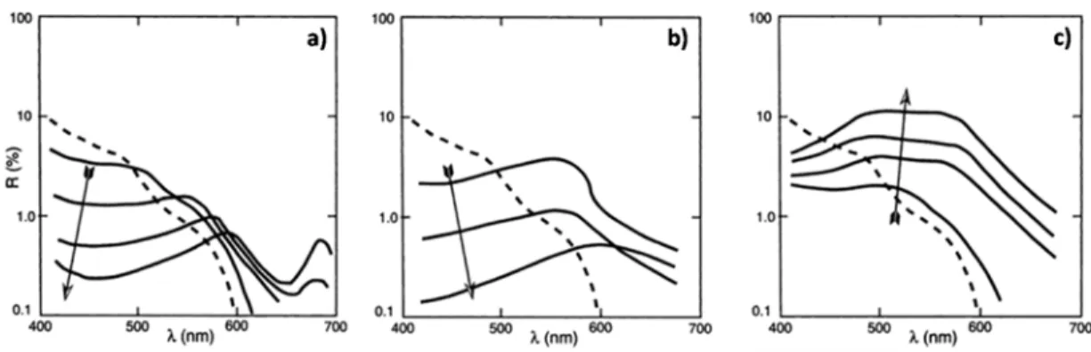 Figure  5  Reflectance spectra of water masses dominated by different optical active components
