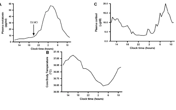 Figura 3: Variação circadiária da concentração do cortisol, da melatonina e da temperatura  corporal