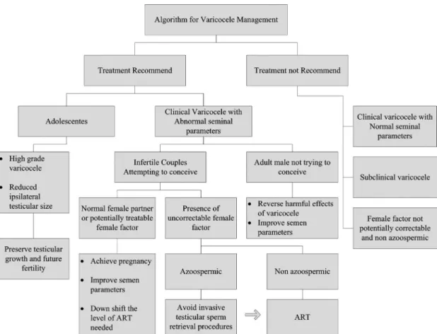 Figure 1 - Algorithm for Varicocele Management.