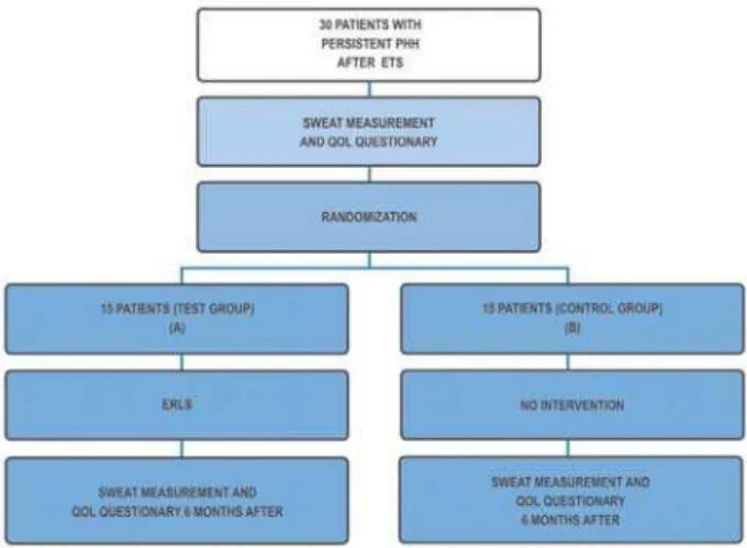 Figure 1 - Chart of activities