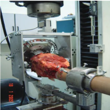 Figure 2 - Biomechanical test apparatus.