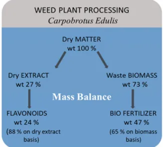 Figure 4.  Total mass balance for the developed integrated plant material treatment process.