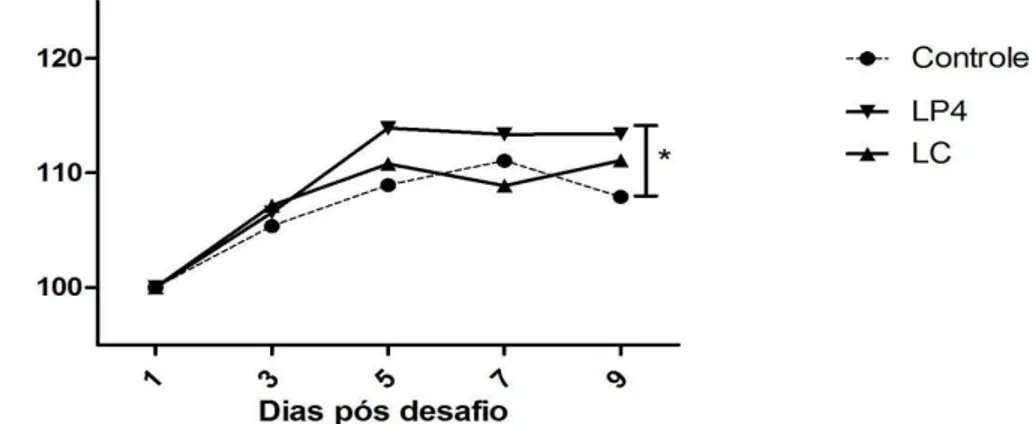 Figura 10. Peso relativo (%) de camundongos convencionais (BALB/c) antes e depois do tratamento ou  não com  P