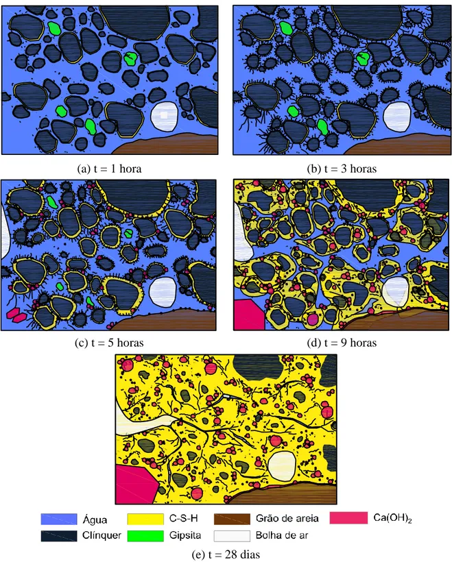 Figura 2.4 - Evolução da microestrutura em função do tempo para um concreto com baixa relação  a/c (VERNET e CADORET, 1992 adaptado por MANZANO et al., 2014)