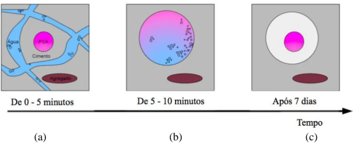 Figura 2.25 - Representação esquemática da evolução do PSA em função do tempo em um  material cimentício: (a) primeiros 5 minutos - dispersão homogênea de partículas de cimento,  água, PSA e agregado; (b) de 5 a 10 minutos - o PSA alcançou a absorção final