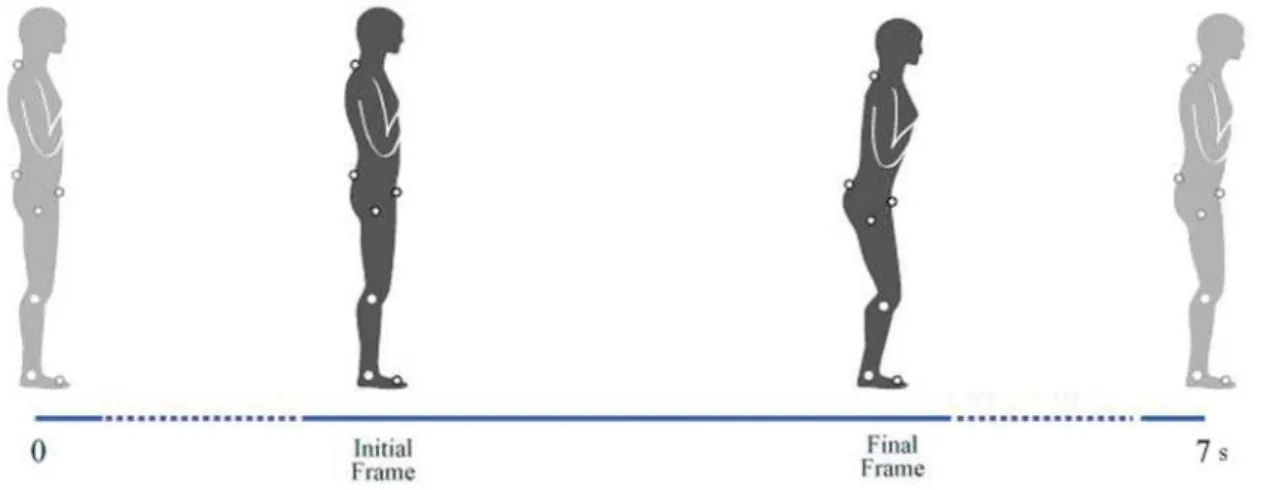 Table 1 shows our multiple regression analysis data  for displacements of body segments during backward  and forward postural perturbations in the context of body  segment positions in the initial and final frames of the  respective postural perturbations.