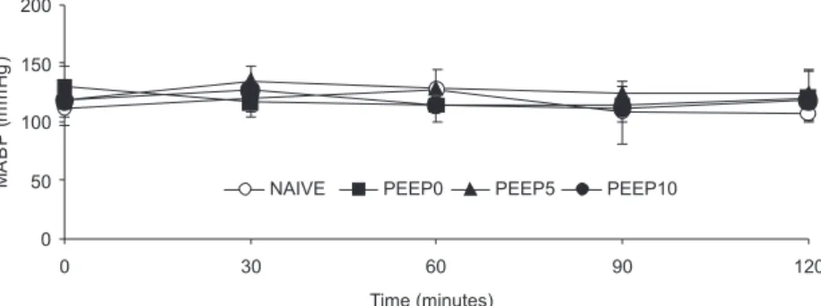 Figure 1 - Time course of mean arterial blood pressure (MABP) in NAIVE (n=9), PEEP0 (n=13), PEEP5 (n=12) and PEEP10 (n=13) groups showed no  differences from baseline (0 h) up to 120 minutes of mechanical ventilation