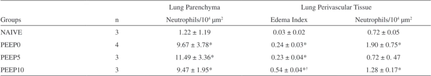 Table 2). In addition, a larger volume of perivascular edema  was found in all mechanically ventilated animals compared  with the NAIVE group (p&lt;0.05)
