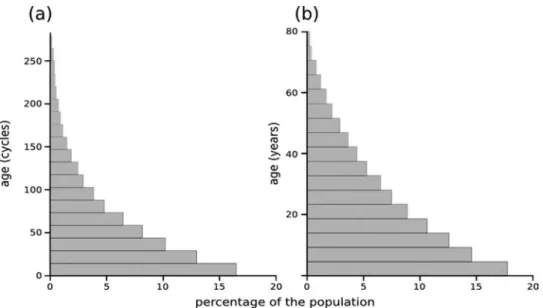 Figure 4 - Age distribution of the populations: (a) typical simulated population showing that very few individuals survive beyond 250 cycles of age, which  corresponds฀to฀87%฀of฀the฀maximum฀age฀(compare฀with฀igure฀3);฀(b)฀age฀distribution฀of฀the฀Afghan฀pop